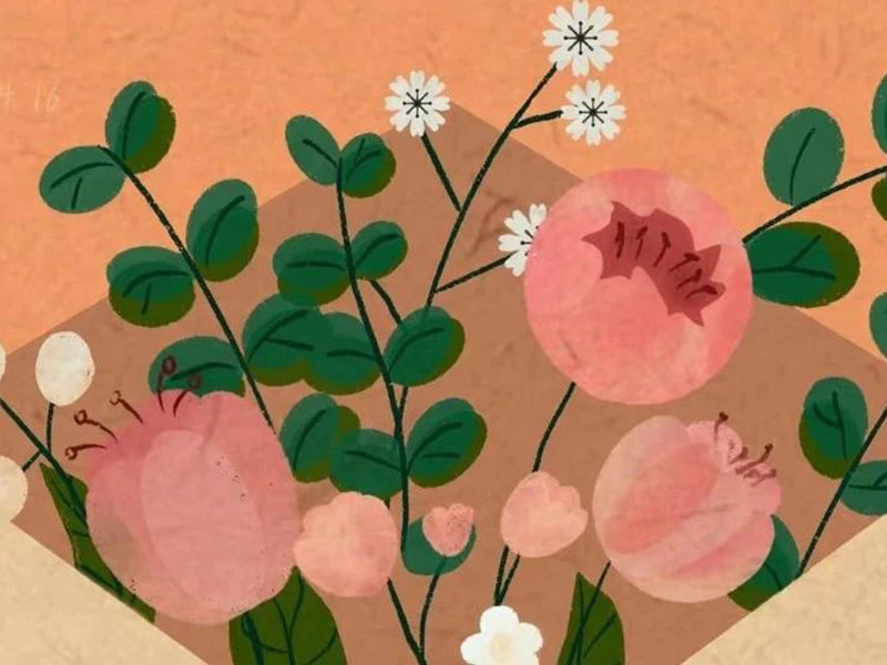 জুফেংয়ের পরিবারের কাছে একটি চিঠি